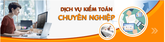 Dịch vụ kiểm toán chuyên nghiệp